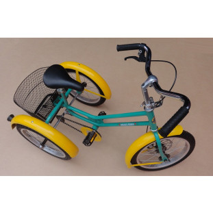 Triciclo Retrô Juvenil Modelo Antigo 5 a 10 Anos Com Pneu Verde e Amarelo