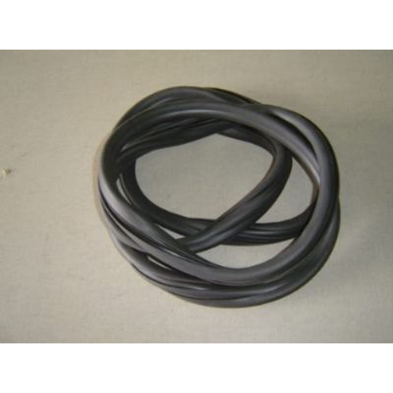 Borracha Vigia Chevette Hatch