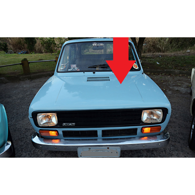 Capô Dianteiro Fiat 147 Fiorino Pick Up 76 à 79 Original Usado 