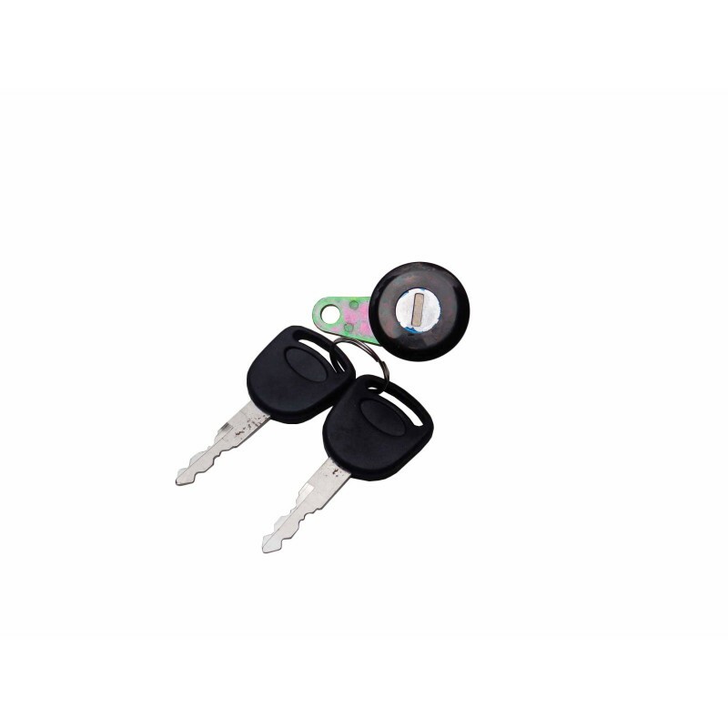 Cilindro de Porta Ford F-1000 F-4000 1993 a 1998 Direito
