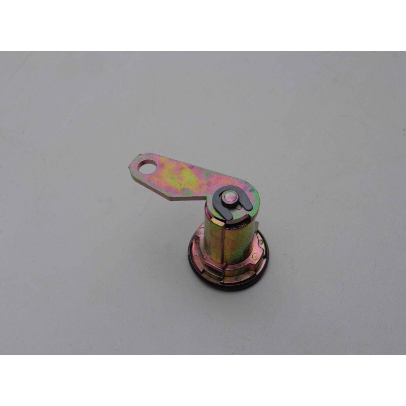 Cilindro de Porta Ford F-1000 F-4000 1993 a 1998 Direito