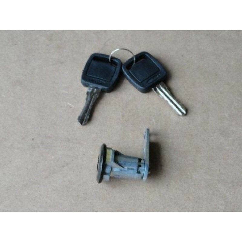 Cilindro Porta F-1000 F-4000 93 à 98 Esquerdo