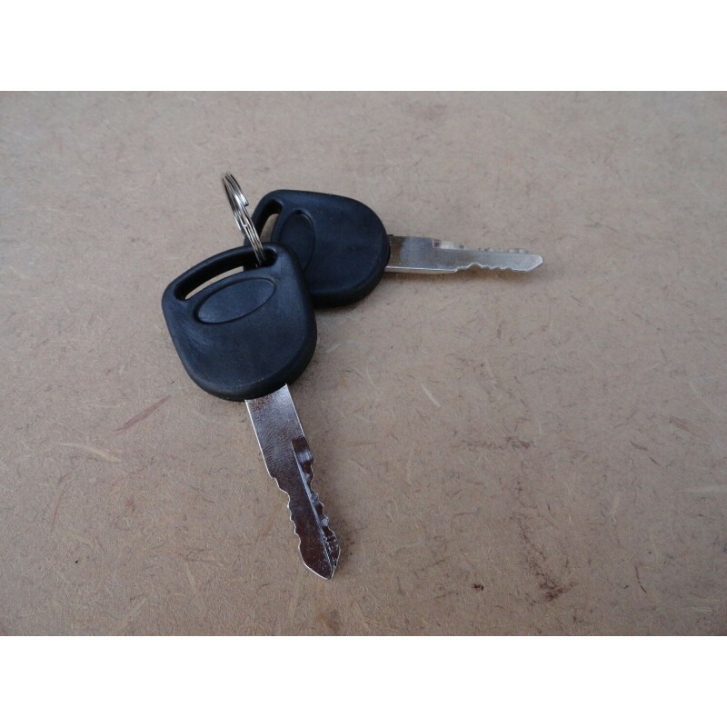 Cilindro Porta F-1000 F-4000 1993 a 1998 Com Chave - Par
