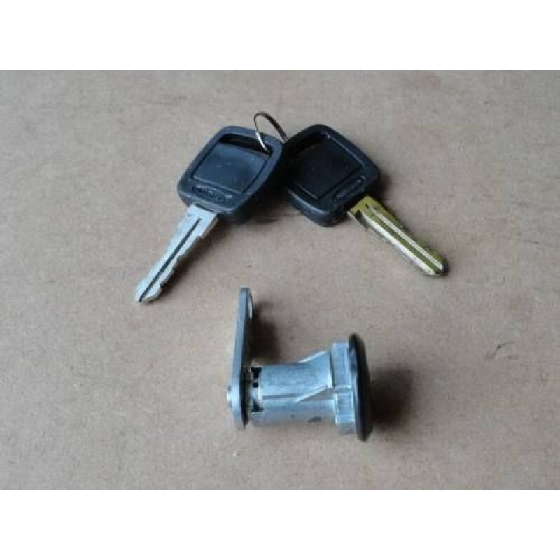Cilindro Porta F-1000 F-4000 93 à 98 Direito