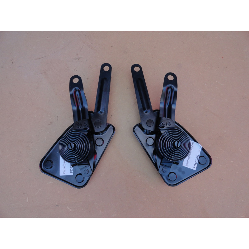 Dobradiça com Mola Capô F-100 F-350 F-600 1956 a 1961 Importado - Par