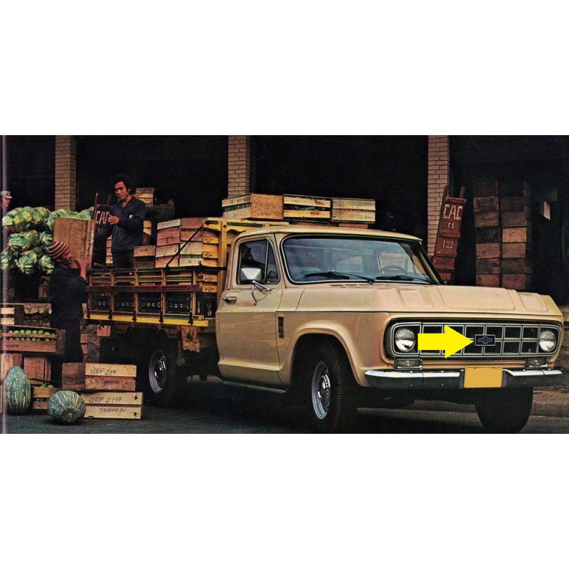 Emblema Centro Grade D-10 C-10 Veraneio 1979 Em Diante Inox