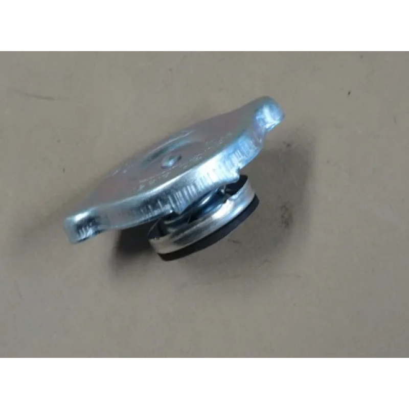 Escort até 96 - Tampa Radiador