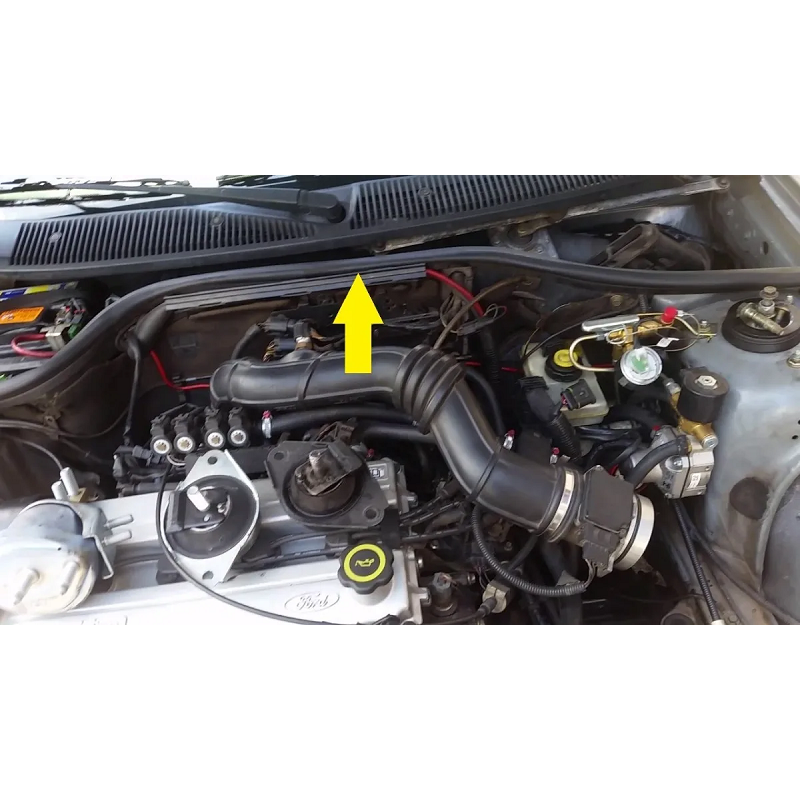 Escort, Fiesta, Royale - Borracha Capô