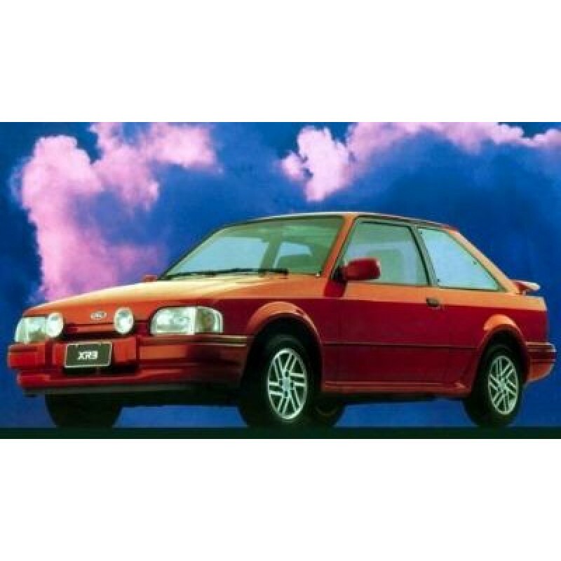 Escort, Verona 88 à 96 - Borracha Porta