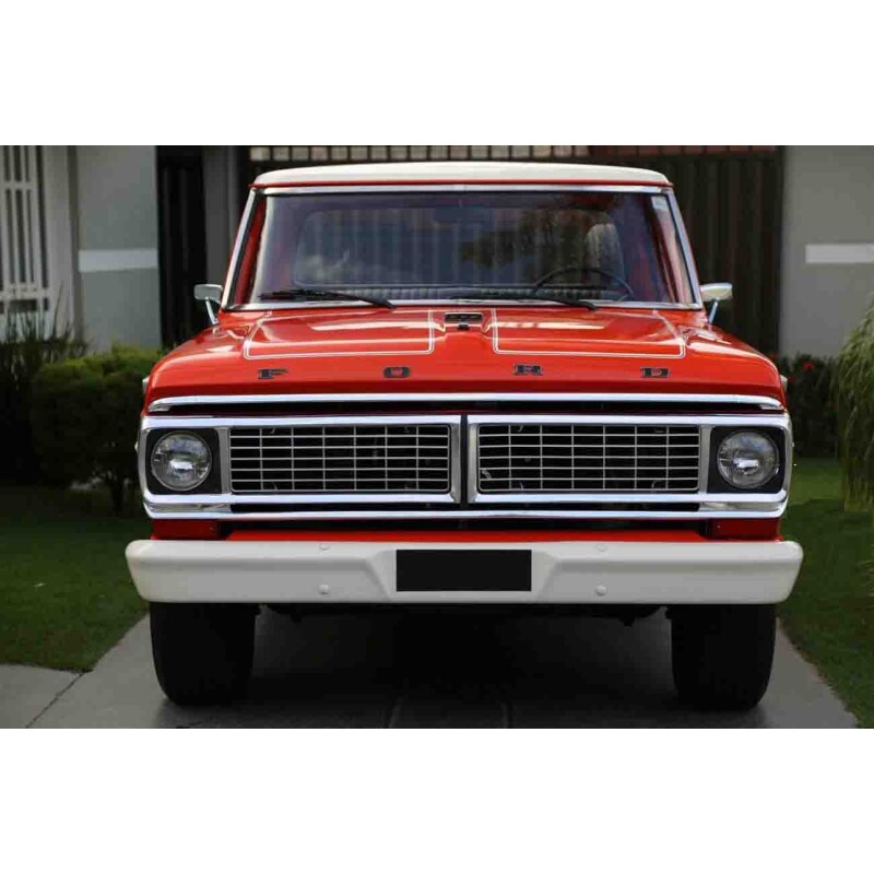 Forro Porta de Lata F-100 F-1000 1972 a 1981 Original Usado - Par