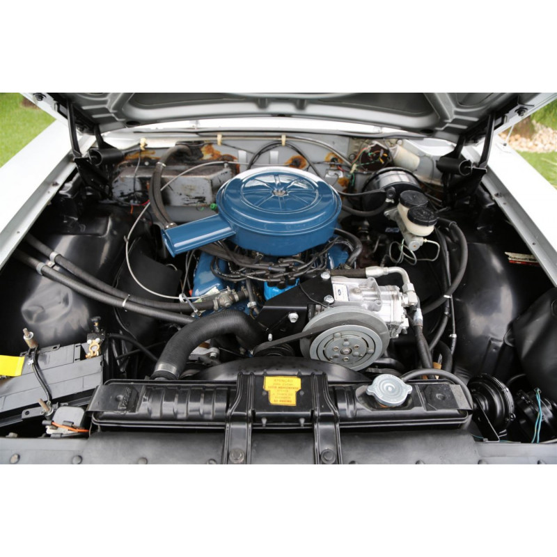 Juntas Motor Ford 302 V8