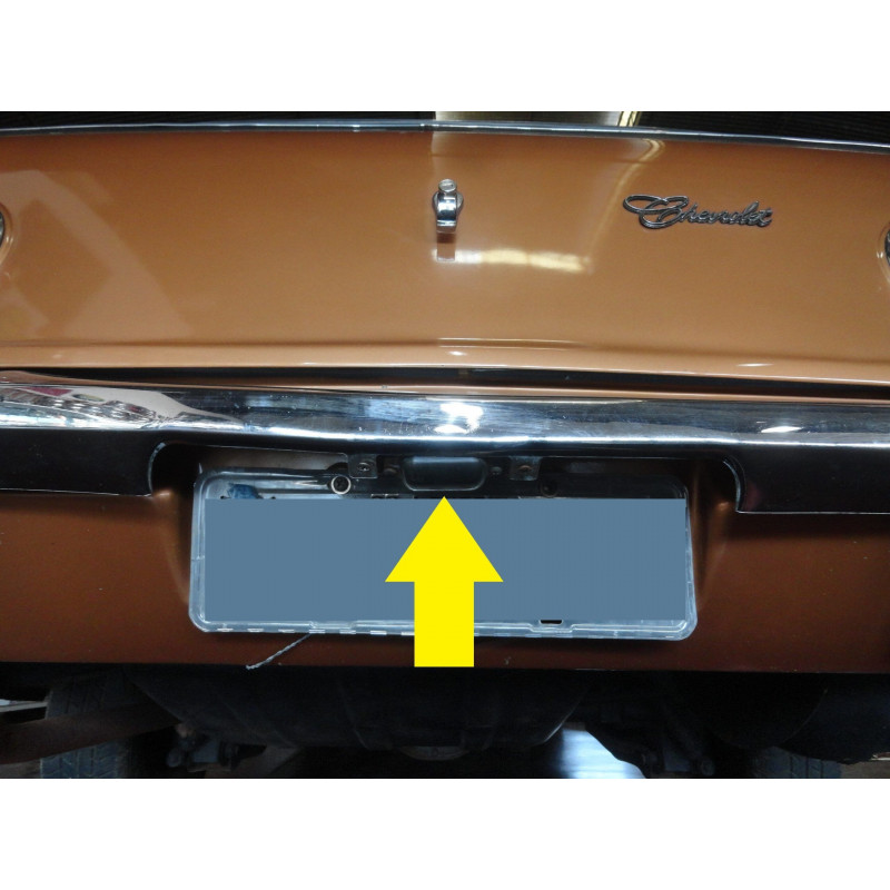 Lente Lanterna Placa Traseira Opala, Caravan e Chevette