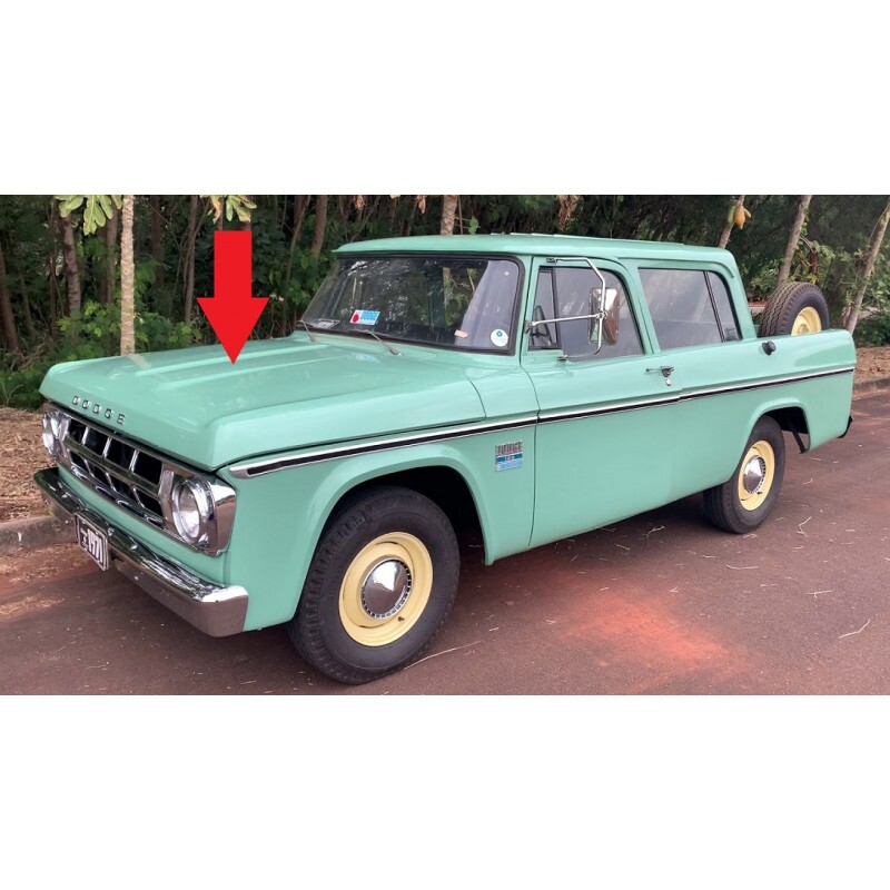 Capô Dodge D100 D400 D700 D950 Canavieiro Original Novo