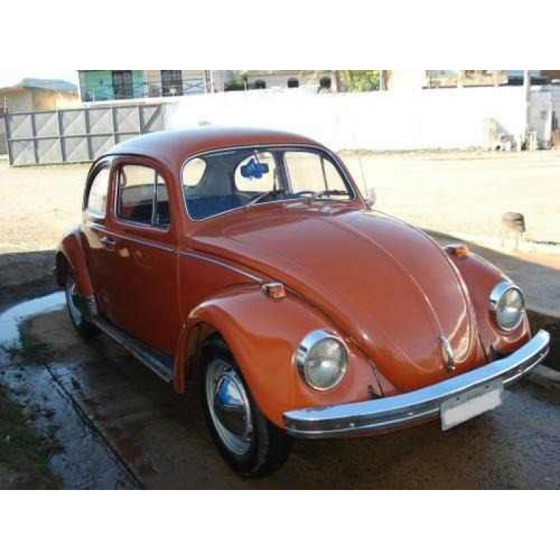 Palheta Fusca até 75