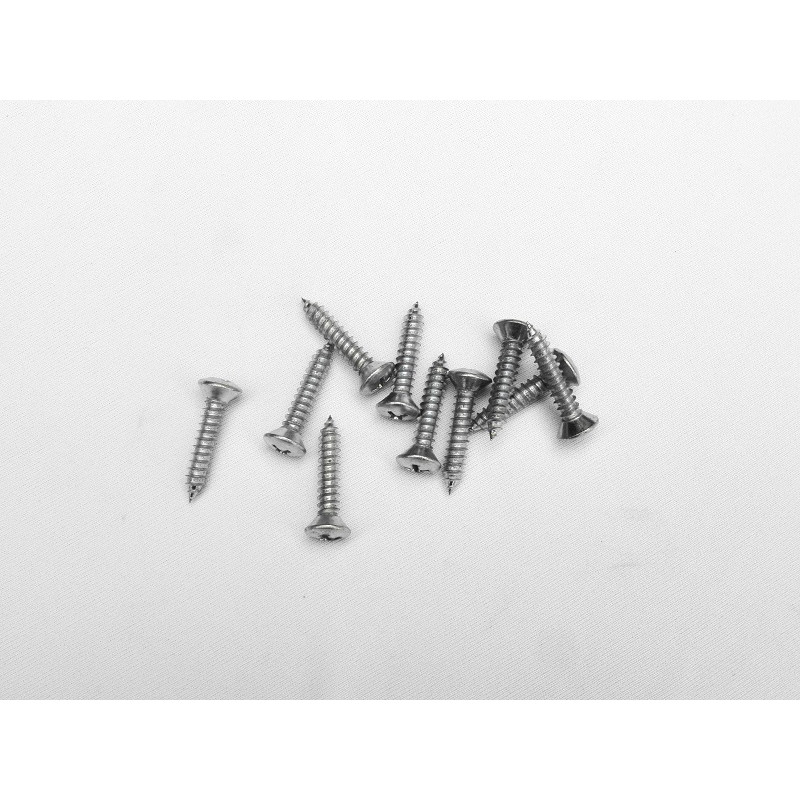 Parafuso Cabeça Cônica Phillips 4,8 x 25mm Auto Atarraxante Zincado Jogo com 10