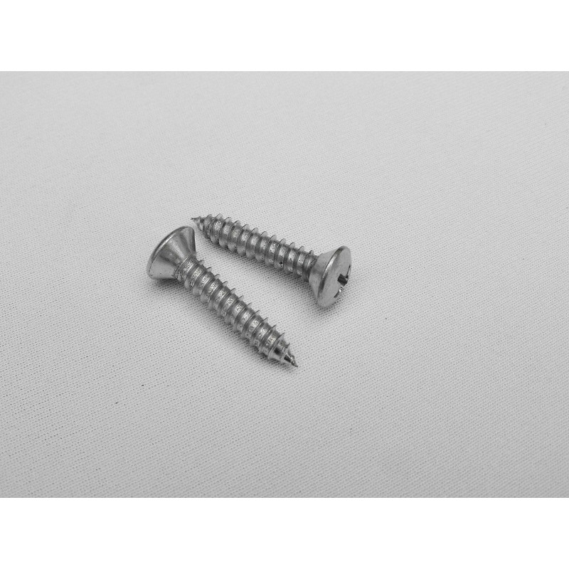 Parafuso Cabeça Cônica Phillips 4,8 x 25mm Auto Atarraxante Zincado Jogo com 10