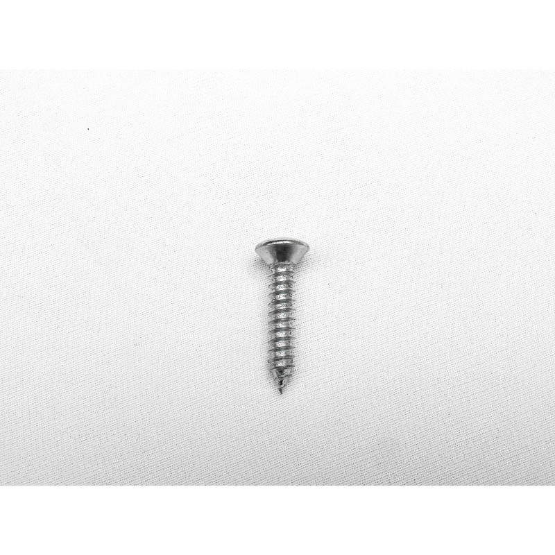 Parafuso Cabeça Cônica Phillips 4,8 x 25mm Auto Atarraxante Zincado Jogo com 10