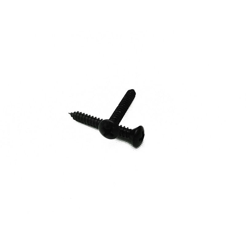 Parafuso Cabeça Cônica Phillips 4,8 x 24mm Auto Atarraxante Preto Jogo com 10