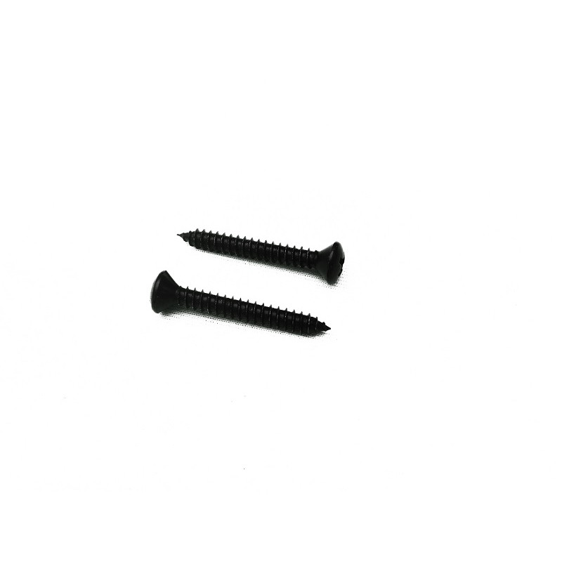 Parafuso Cabeça Cônica Phillips 4,8 x 24mm Auto Atarraxante Preto Jogo com 10