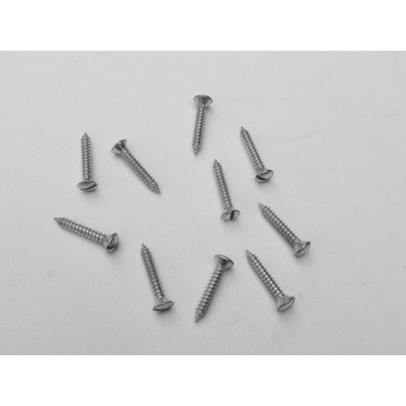 Parafuso Cabeça Cônica Fenda 4,3 x 25 Auto Atarraxante Zincado Jogo c/ 10