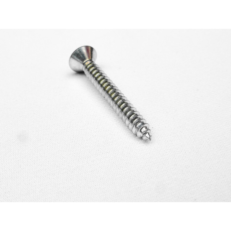 Parafuso Cabeça Cônica Philips 4,8 x 38mm Auto Atarraxante Zincado Jogo com 10