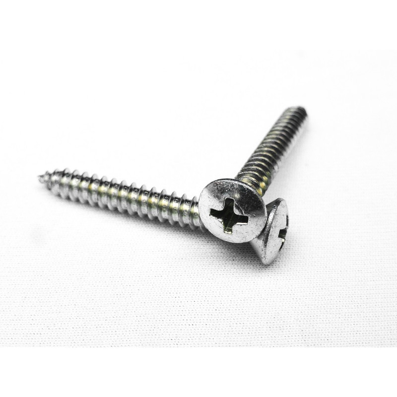 Parafuso Cabeça Cônica Philips 4,8 x 38mm Auto Atarraxante Zincado Jogo com 10