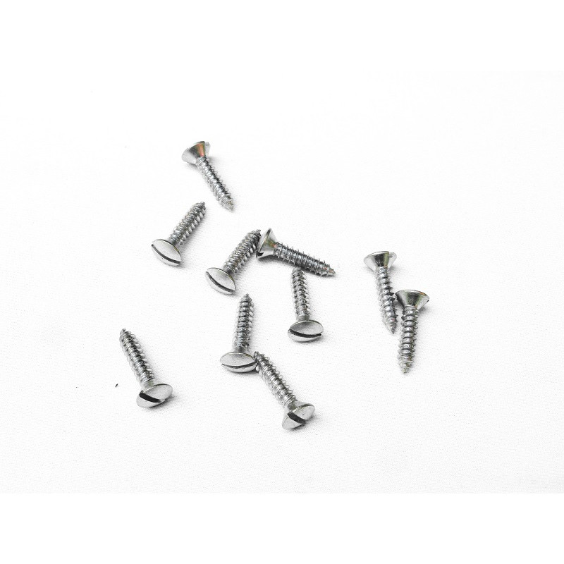 Parafuso Cabeça Cônica Fenda 4,8 x 22mm Auto Atarraxante Zincado Jogo com 10