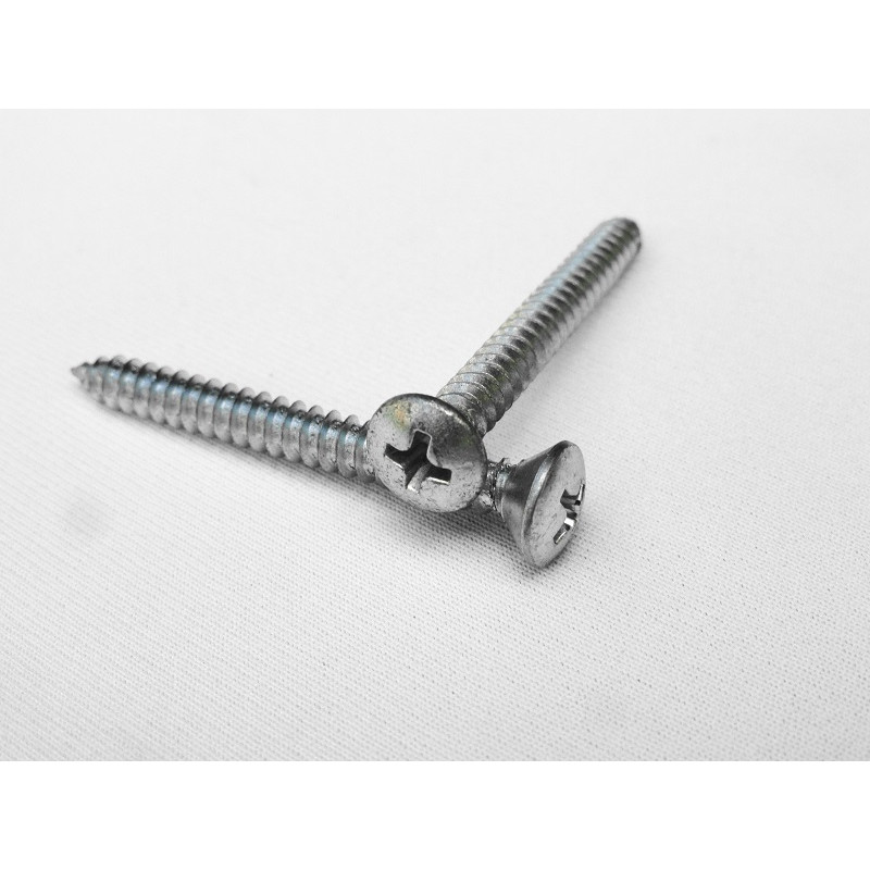 Parafuso Cabeça Cônica Phillips 4,8 x 46mm Auto Atarraxante Zincado Jogo com 10