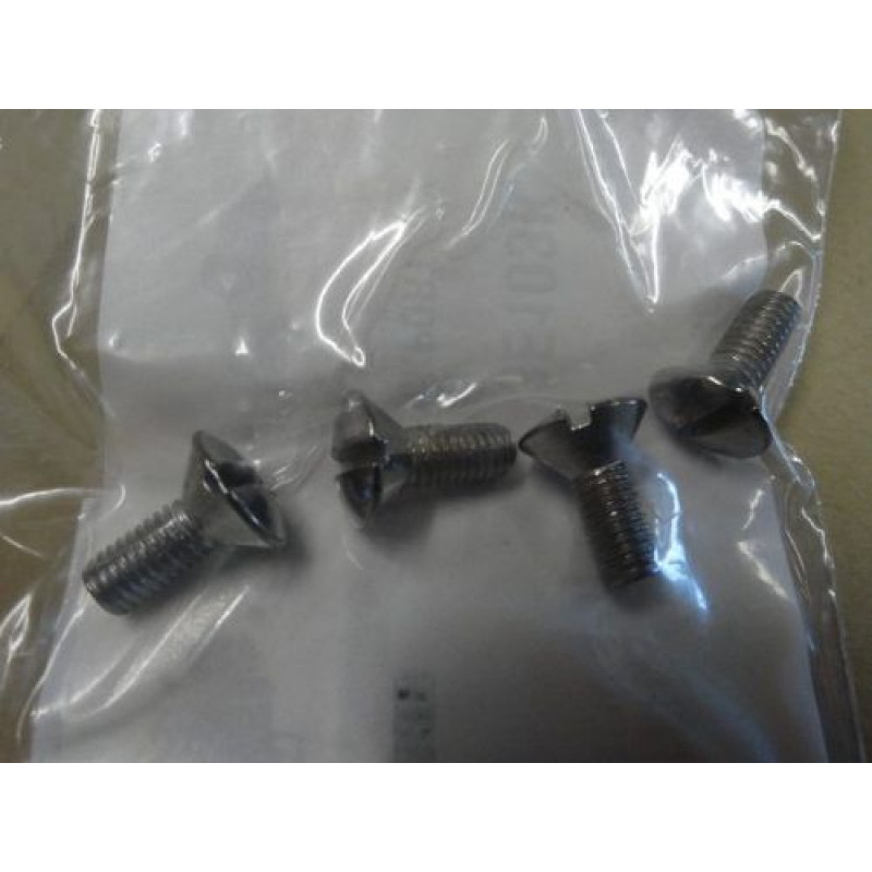 Parafuso Moldura do Painel Ford 30 à 31 Importado - Jogo