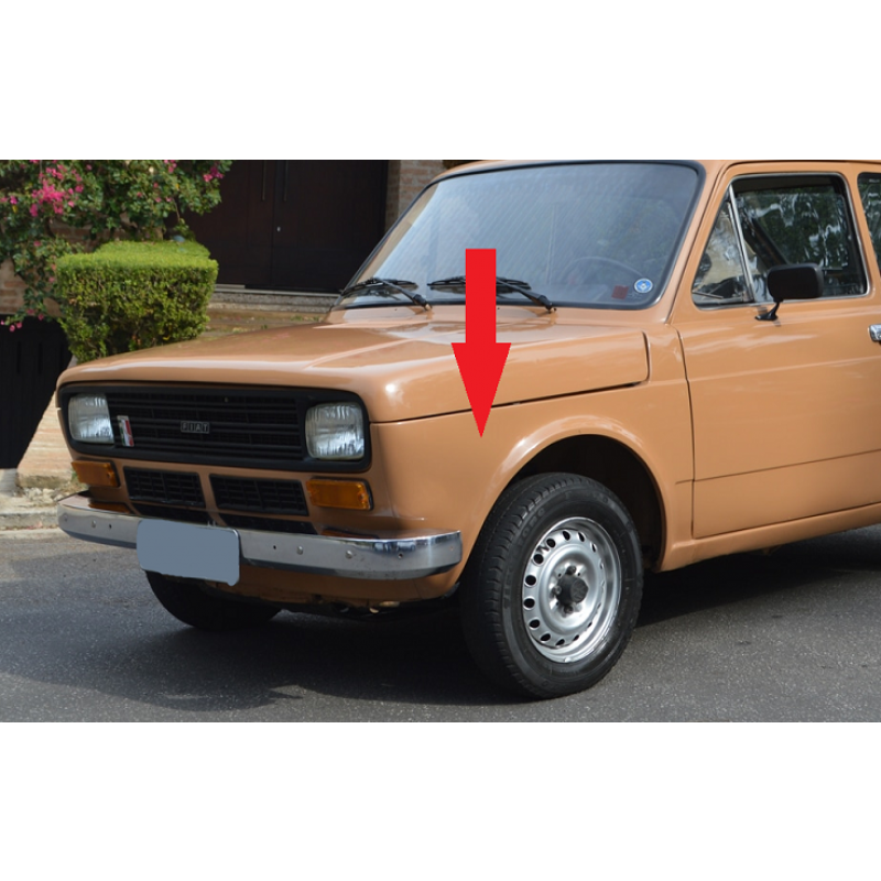 Paralama Dianteiro Esquerdo Fiat 147 até 79 IGP Novo