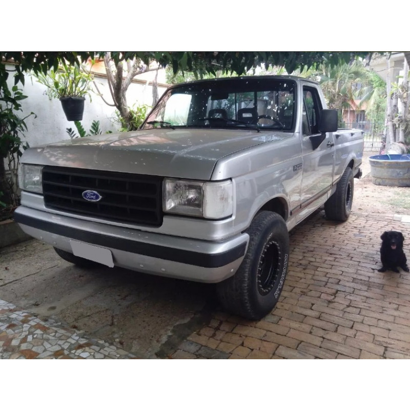 Pino Dobradiça Inferior Porta Dianteira F-1000 F-4000 1993 a 1998