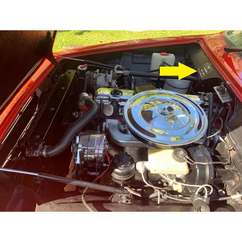 Plaqueta Identificação Chassi Ano Santa Matilde Gravada Alto Relevo