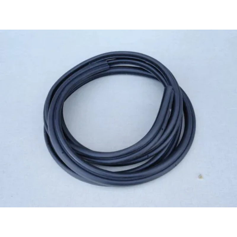 Renault Scenic 1999 a 2010 - Borracha Porta Malas