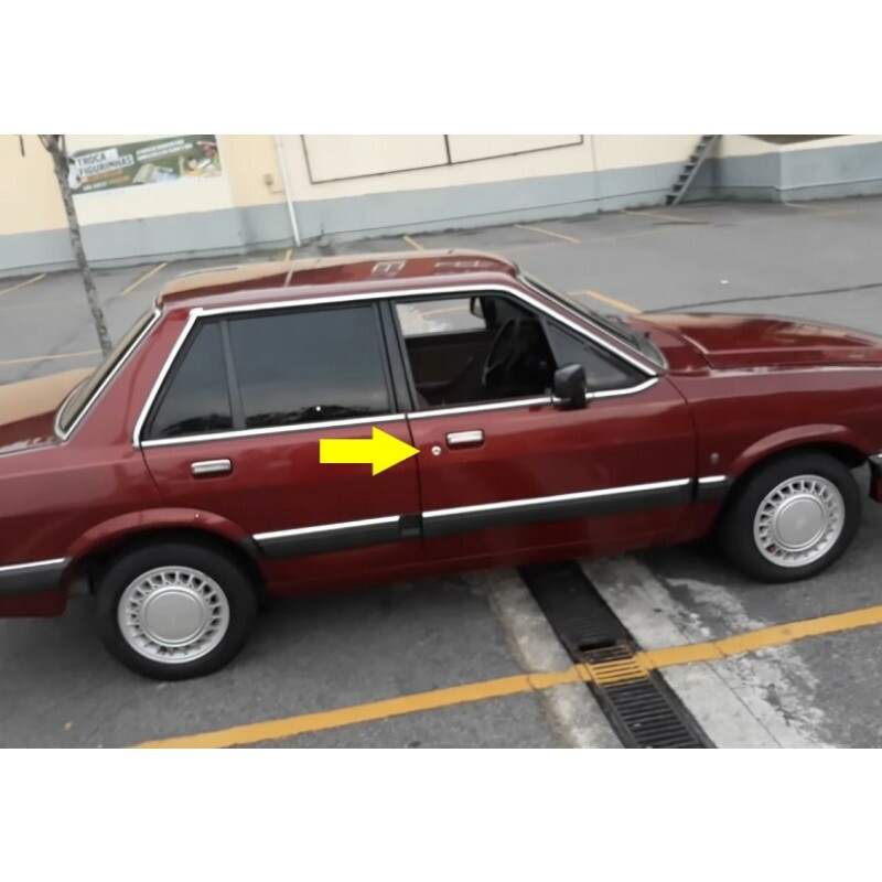 Cilindro Miolo De Porta Del Rey Todos Anos Original Ford - Par