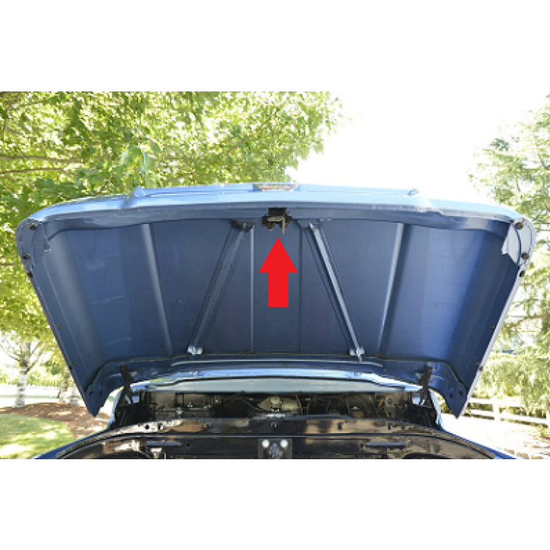 Fechadura Fecho Superior Capô F-100 F-600 62 à 64 e 69 à 71 - Braço Curto