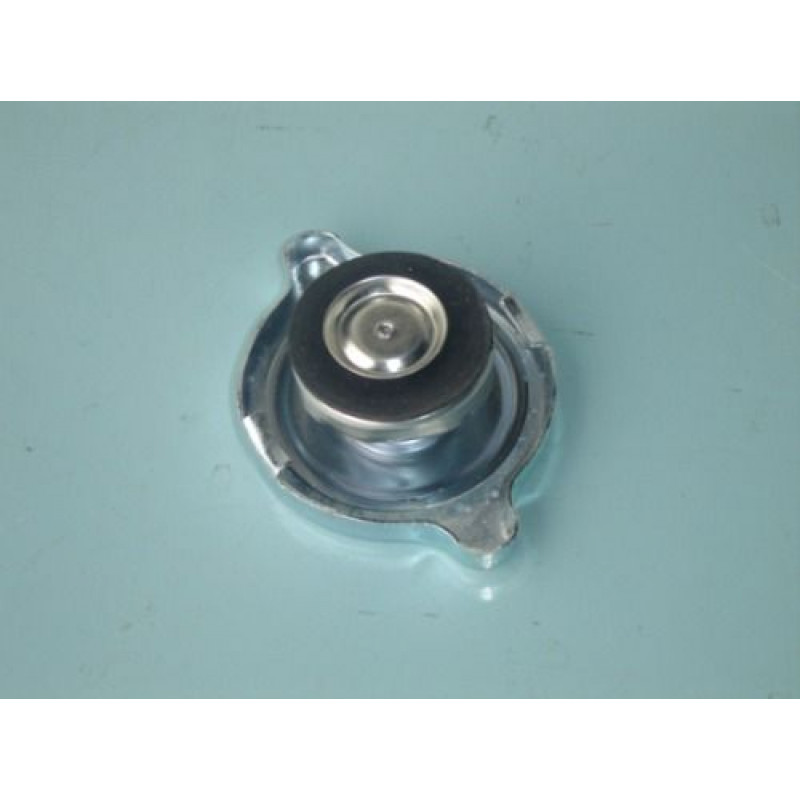 Tampa Radiador C-10 C-14 D-10 Veraneio