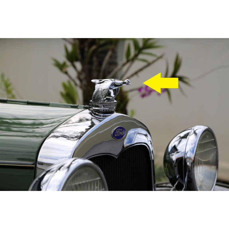 Tampa do Radiador Ford A 1930 a 1931 Codorninha Importada