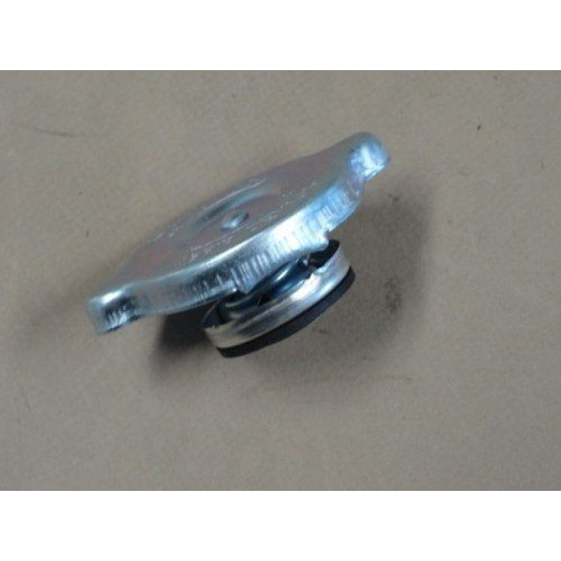 Tampa Radiador Corcel ll Belina ll 78 à 91