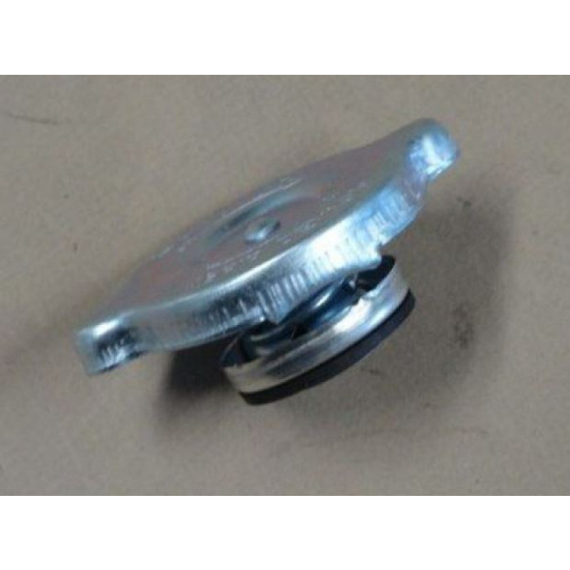 Tampa Radiador Opala E Caravan Até 1984 Novo 13 Libras