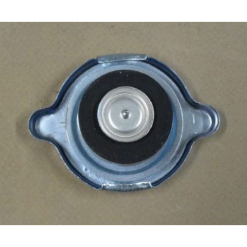 Tampa Radiador Opala E Caravan Até 1984 Novo 13 Libras