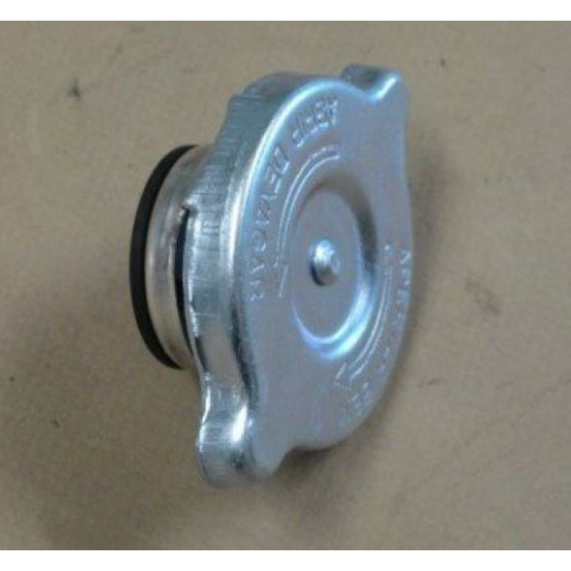 Tampa Radiador Opala E Caravan Até 1984 Novo 13 Libras