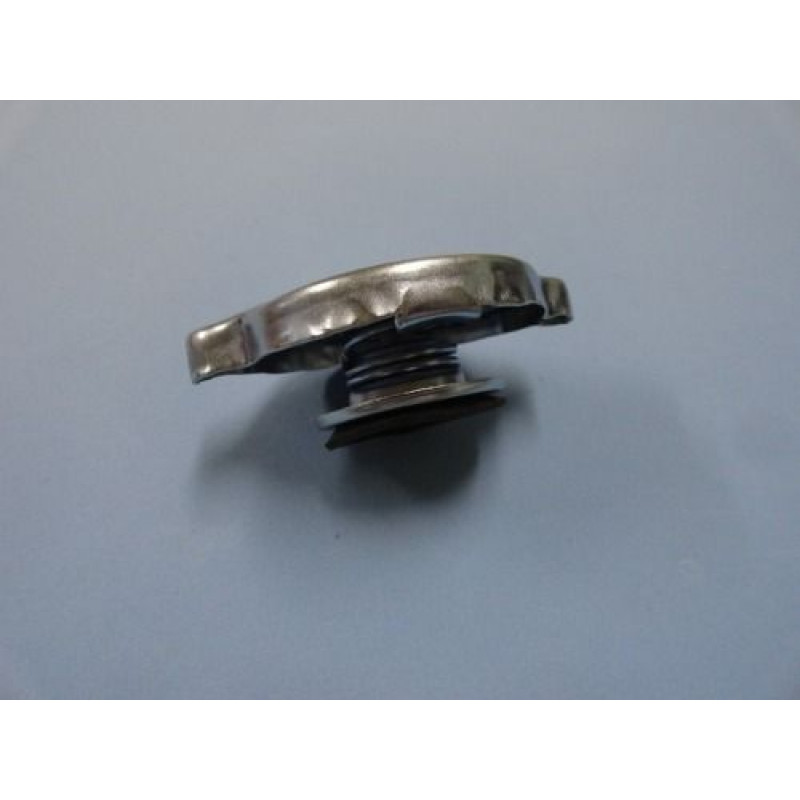 Tampa Radiador F-100 F-1000