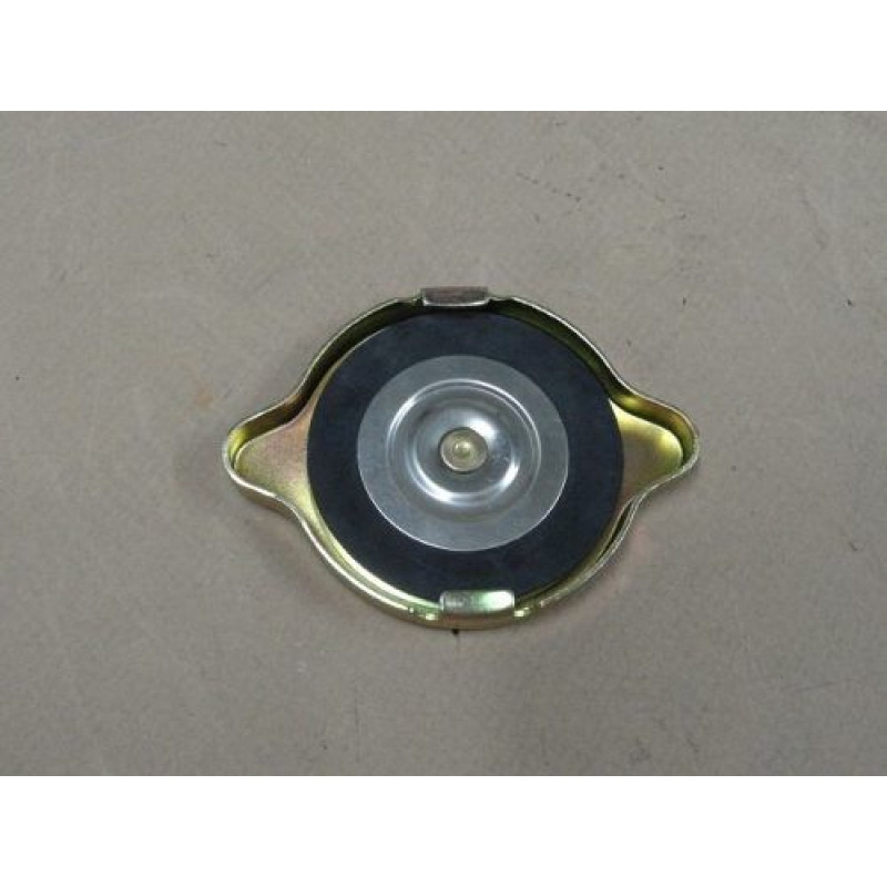 Tampa Radiador F-1, F-100 52 à 61 Importada