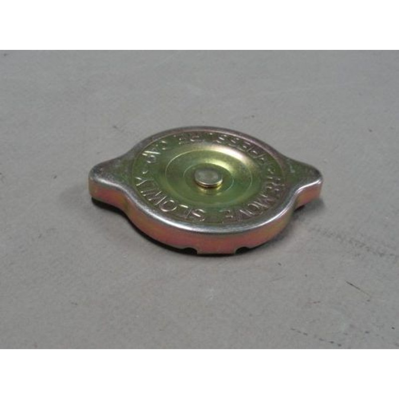 Tampa Radiador F-1, F-100 52 à 61 Importada