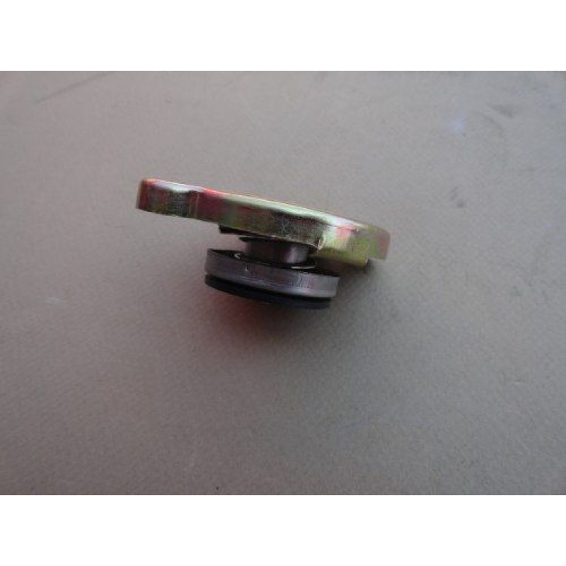 Tampa Radiador 52 à 61 Importada