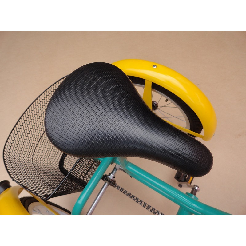 Triciclo Retrô Juvenil Modelo Antigo 5 a 10 Anos Com Pneu Verde e Amarelo