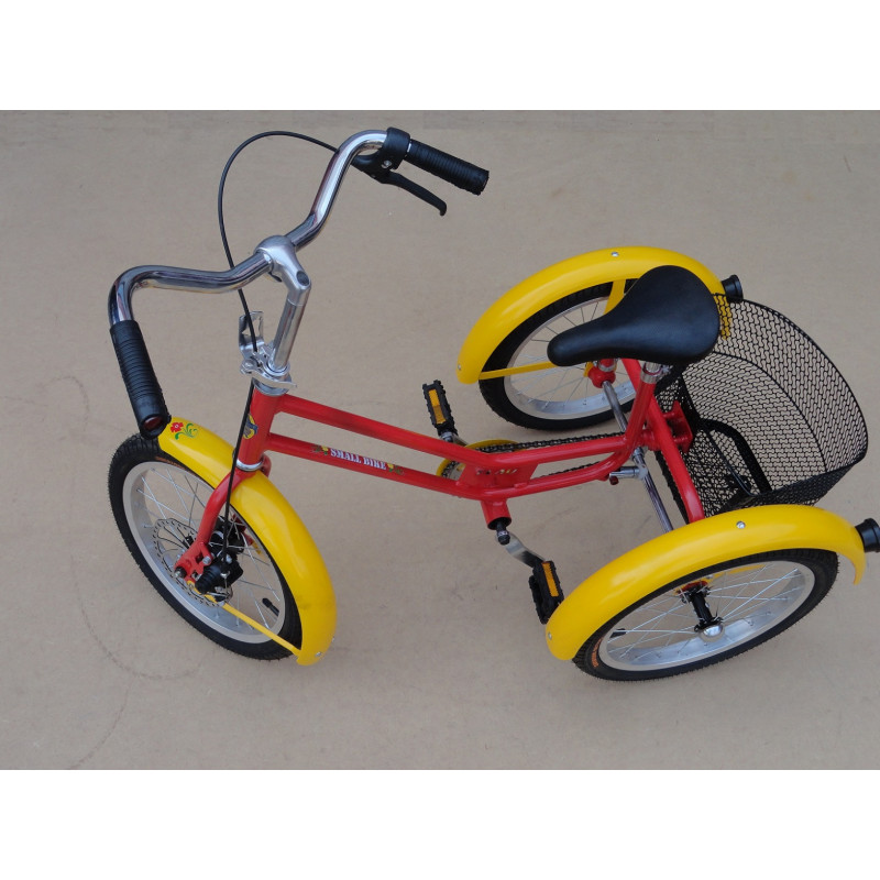 Triciclo Retrô Juvenil Modelo Antigo 5 à 10 Anos