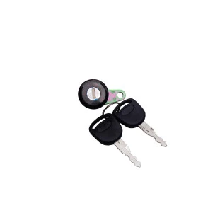 Cilindro de Porta Ford F-1000 F-4000 1993 a 1998 Esquerdo