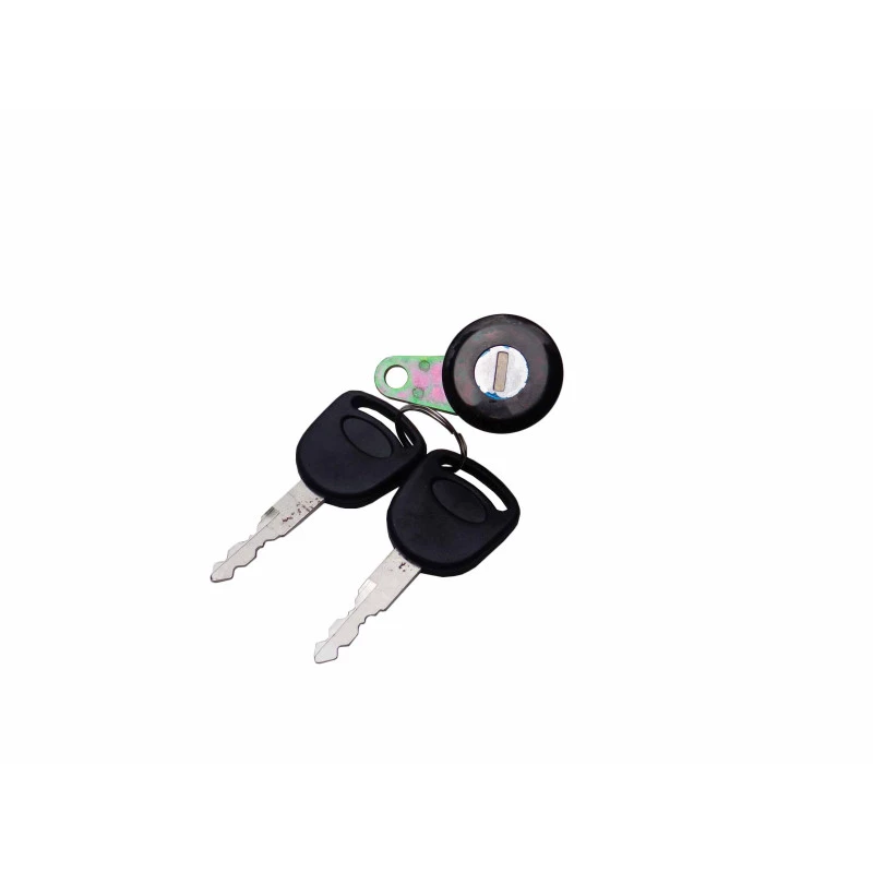 Cilindro de Porta Ford F-1000 F-4000 1993 a 1998 Direito