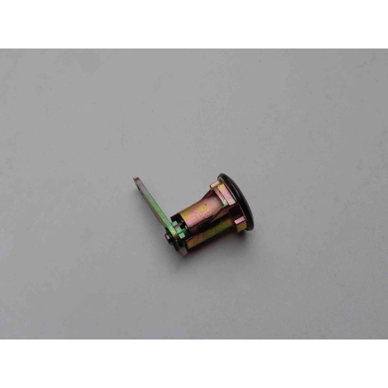 Cilindro de Porta Ford F-1000 F-4000 1993 a 1998 Direito